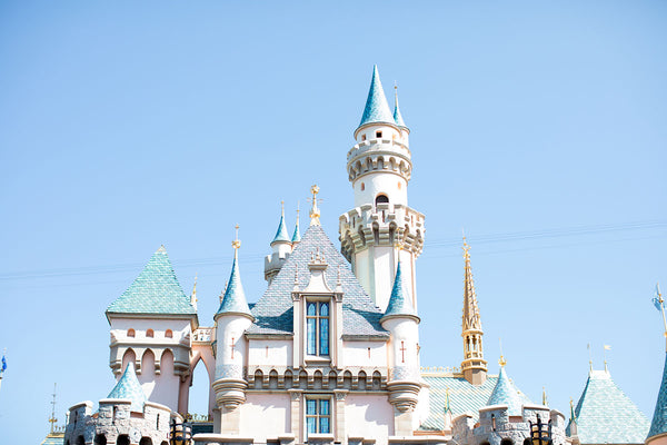 Disneyland Travel Tips + Fawny Pack Restock!