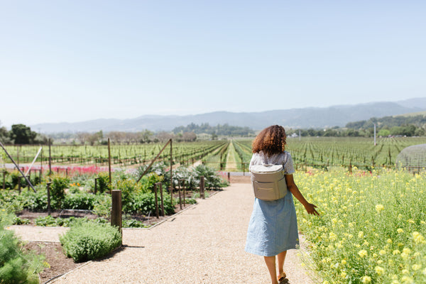 The Fawn Travel Guide to Napa Valley